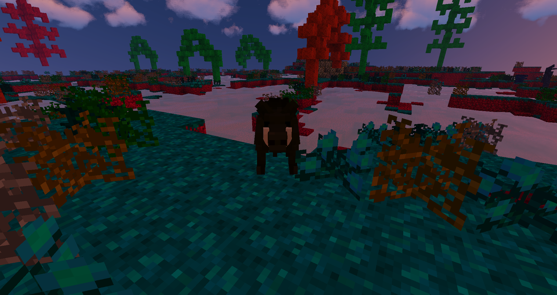 A Boar!