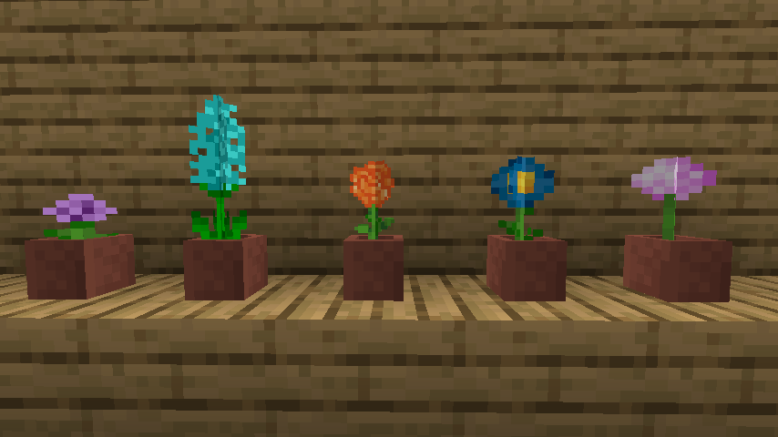 Some flowers can be placed in flower pots