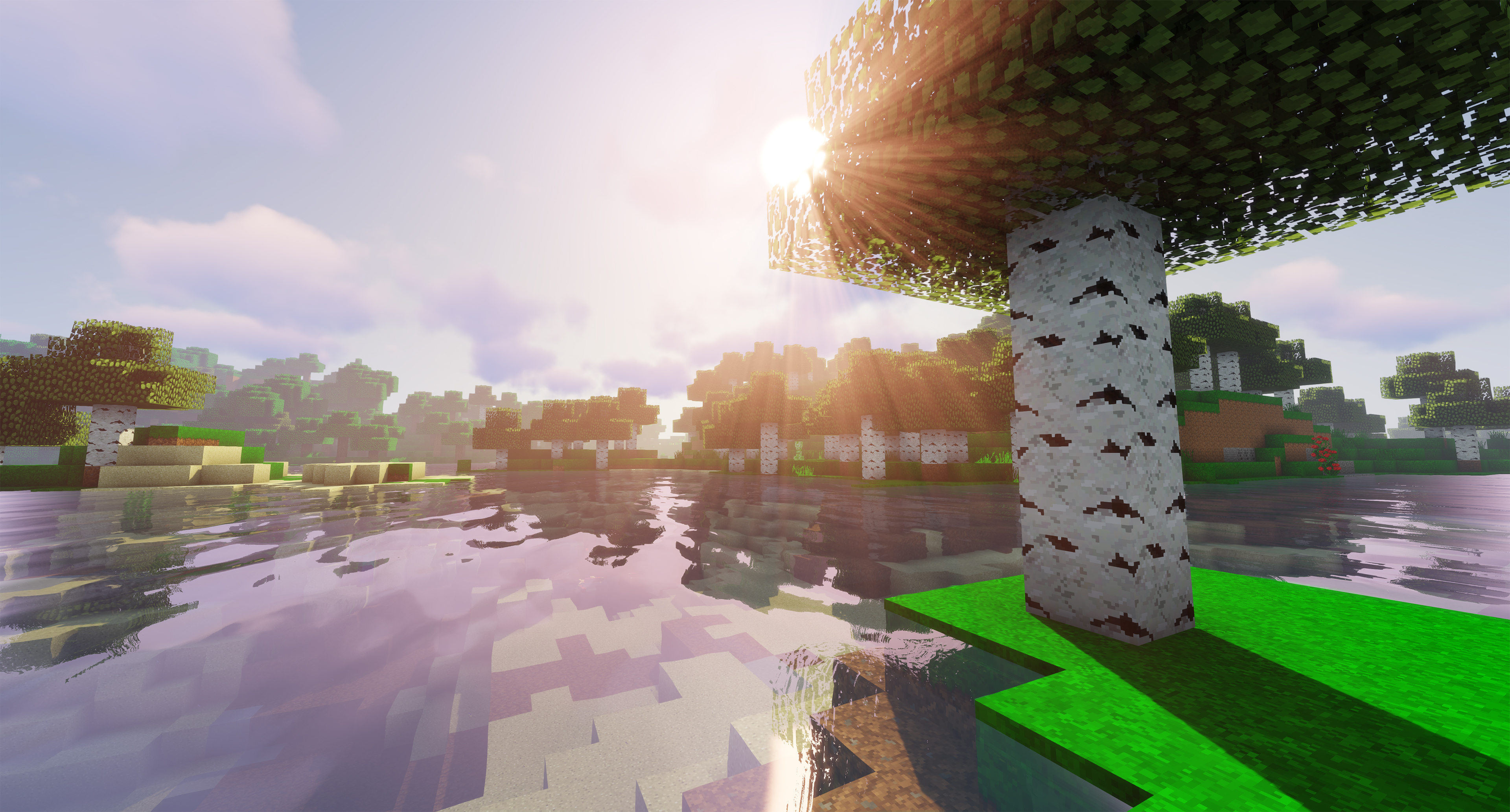 Birch Forest with Shaders