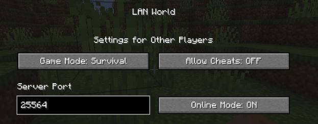 How to use in multiplayer minecraft