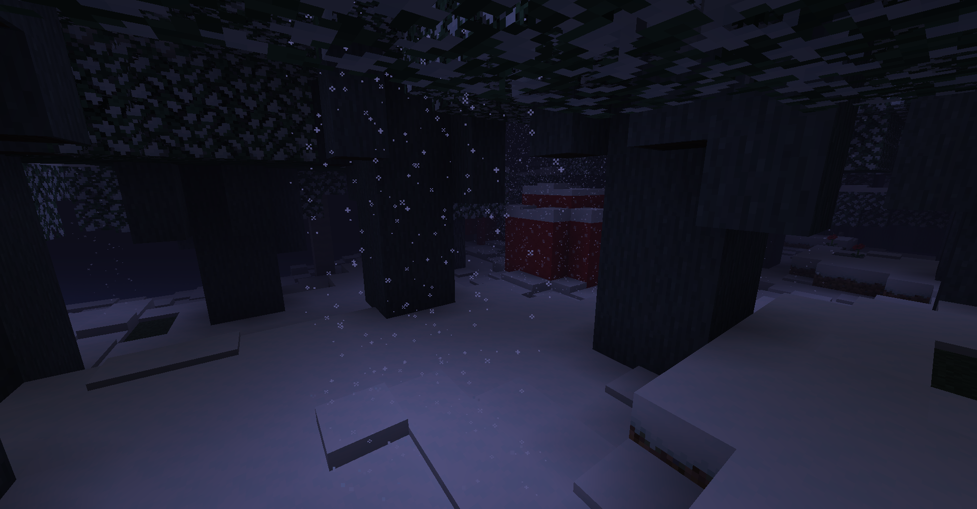 A Dark Forest at Night