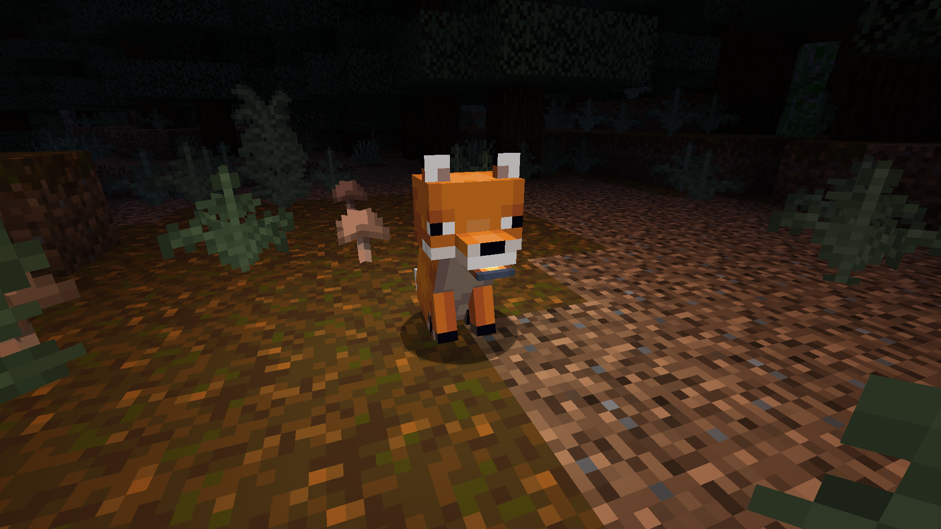 Fox holding lantern