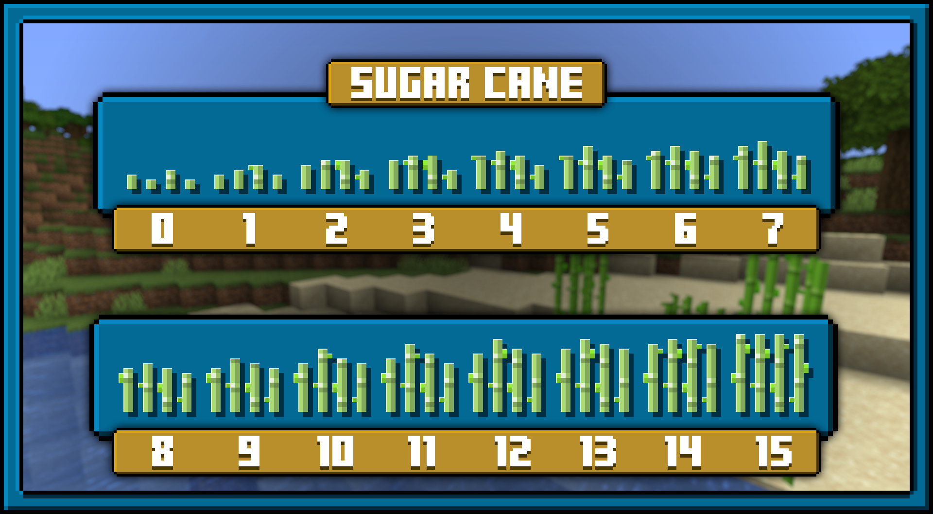 Sugar Cane