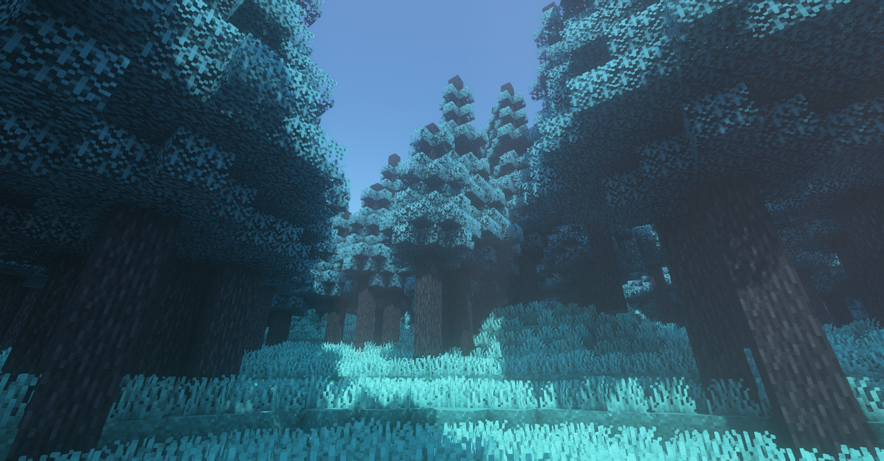 The biome with shaders