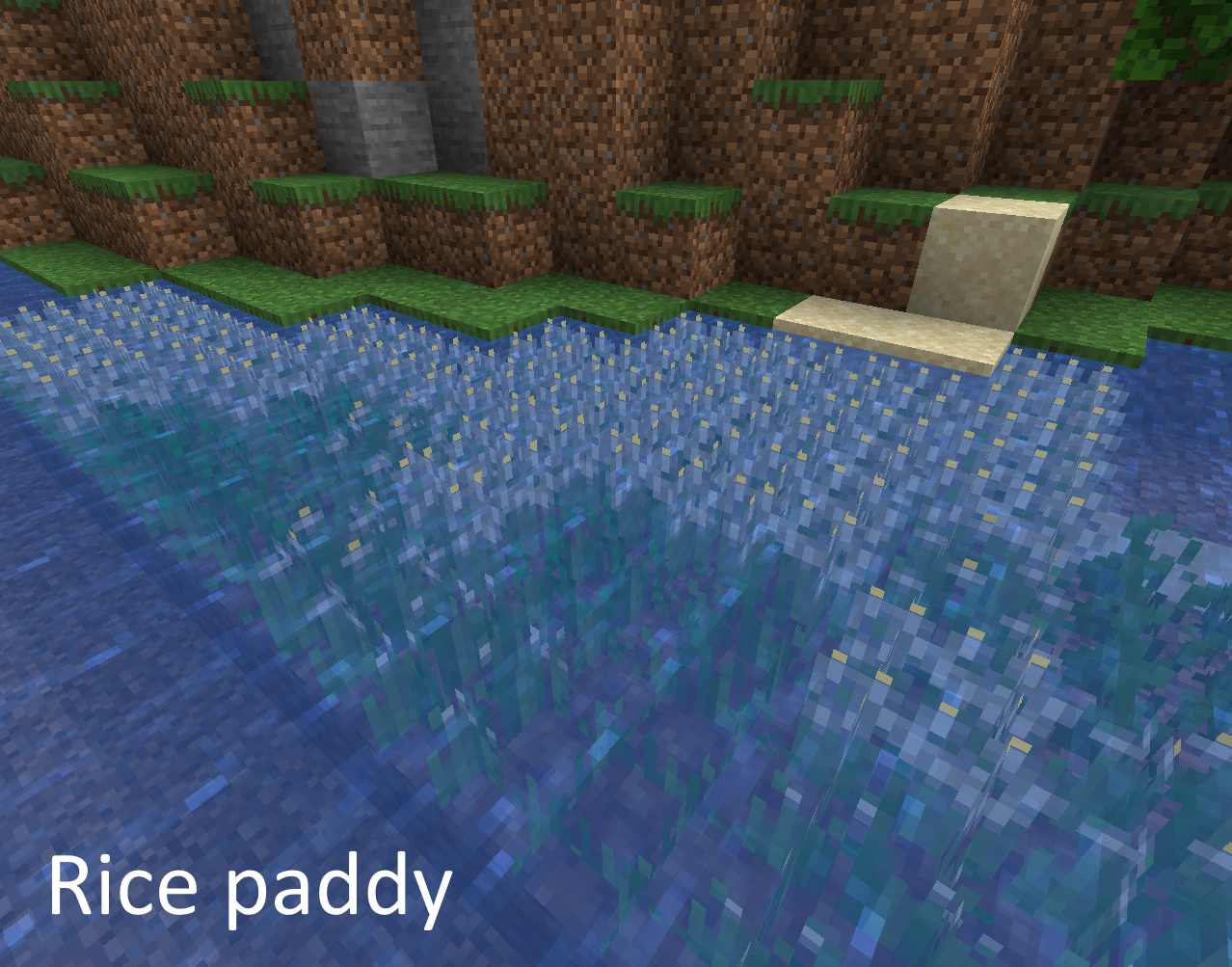 Showing a rice paddy added by this mod.