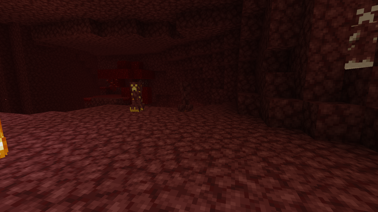 Nether