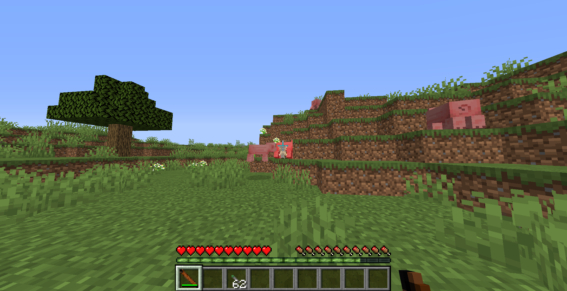 This weapon is weaker than a bow but it can also poison mobs. The only way to get the Blowgun is to kill a hunter.