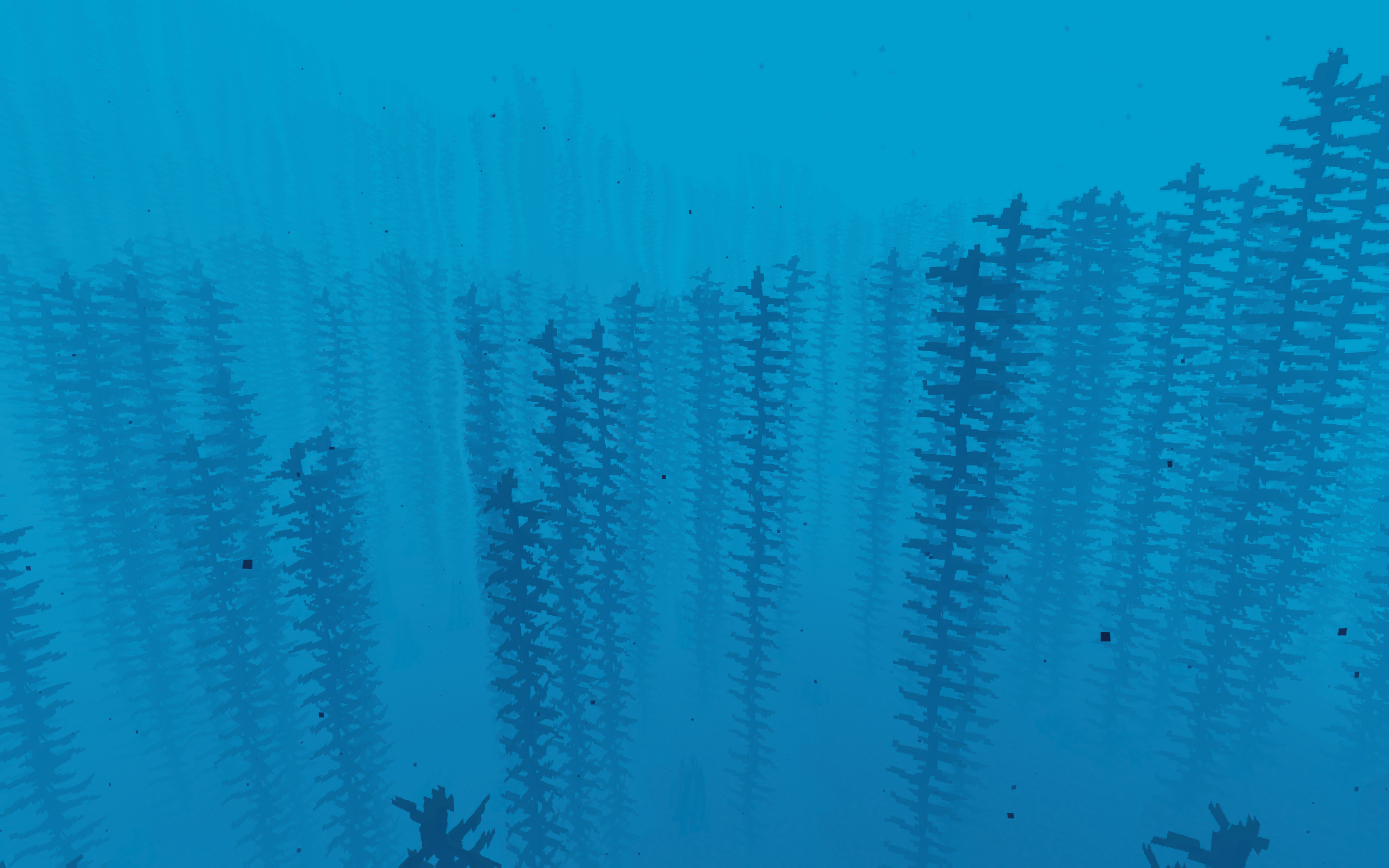 Kelp Forest