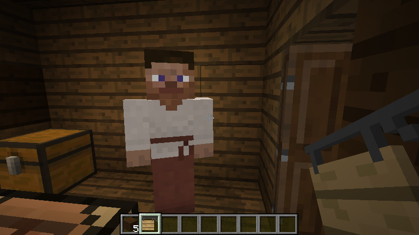 This is the inside of the house, where you need to use the item. Also, that's your trader. He trades stuff. It's neat.