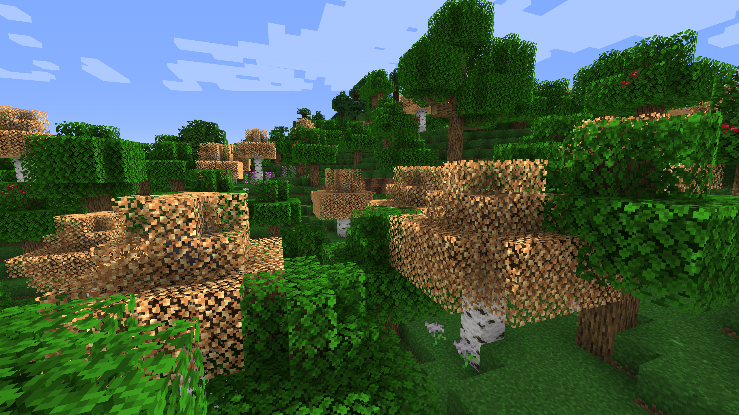 A regular Minecraft Forest with the resource pack.