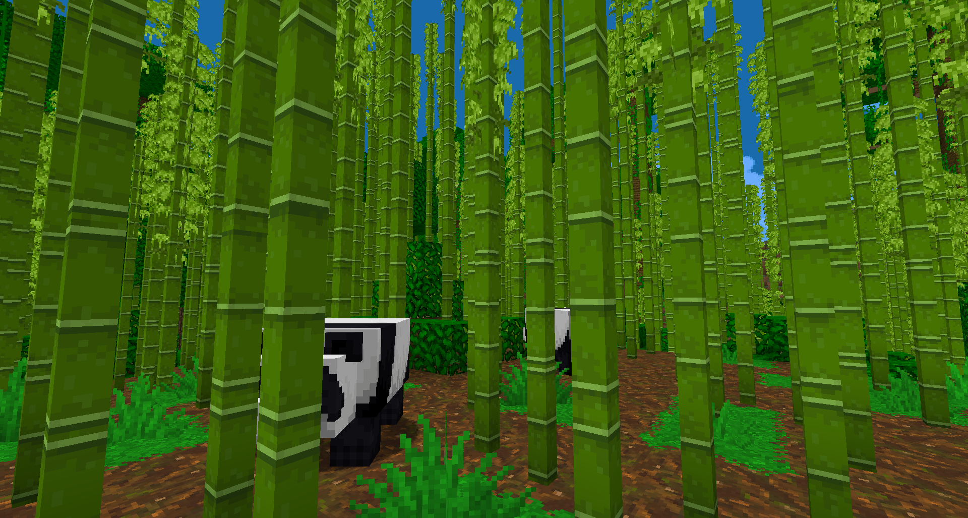 Bamboo jungle