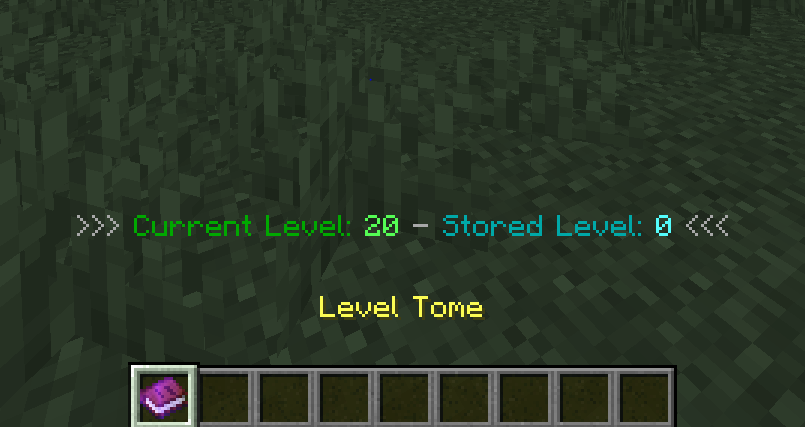 Level Tome Item