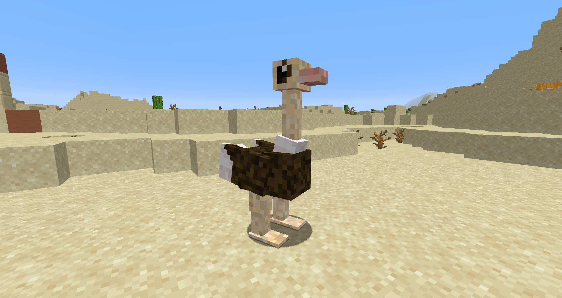 Ostrich