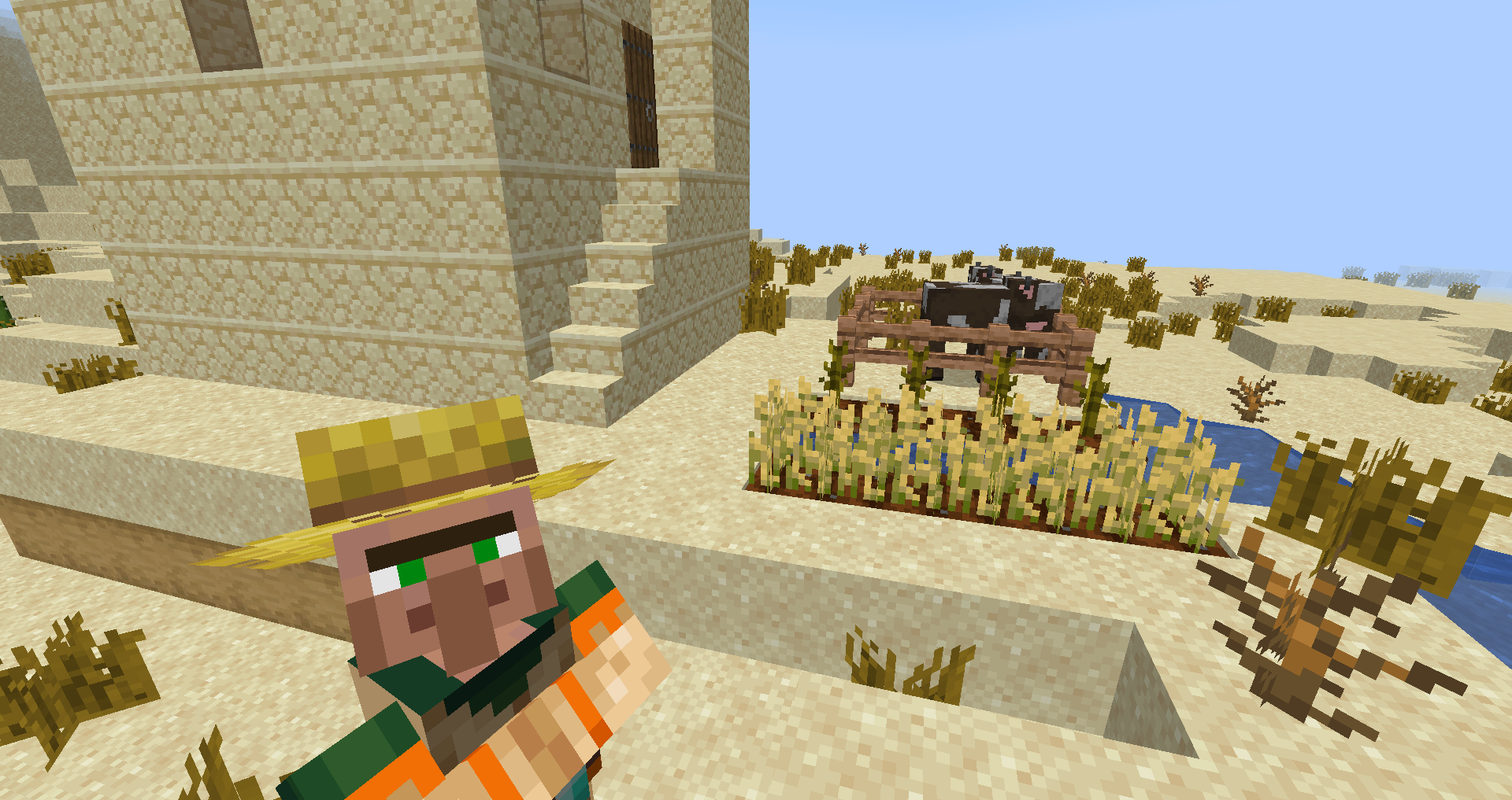 Desert Farm & Farmer Villager