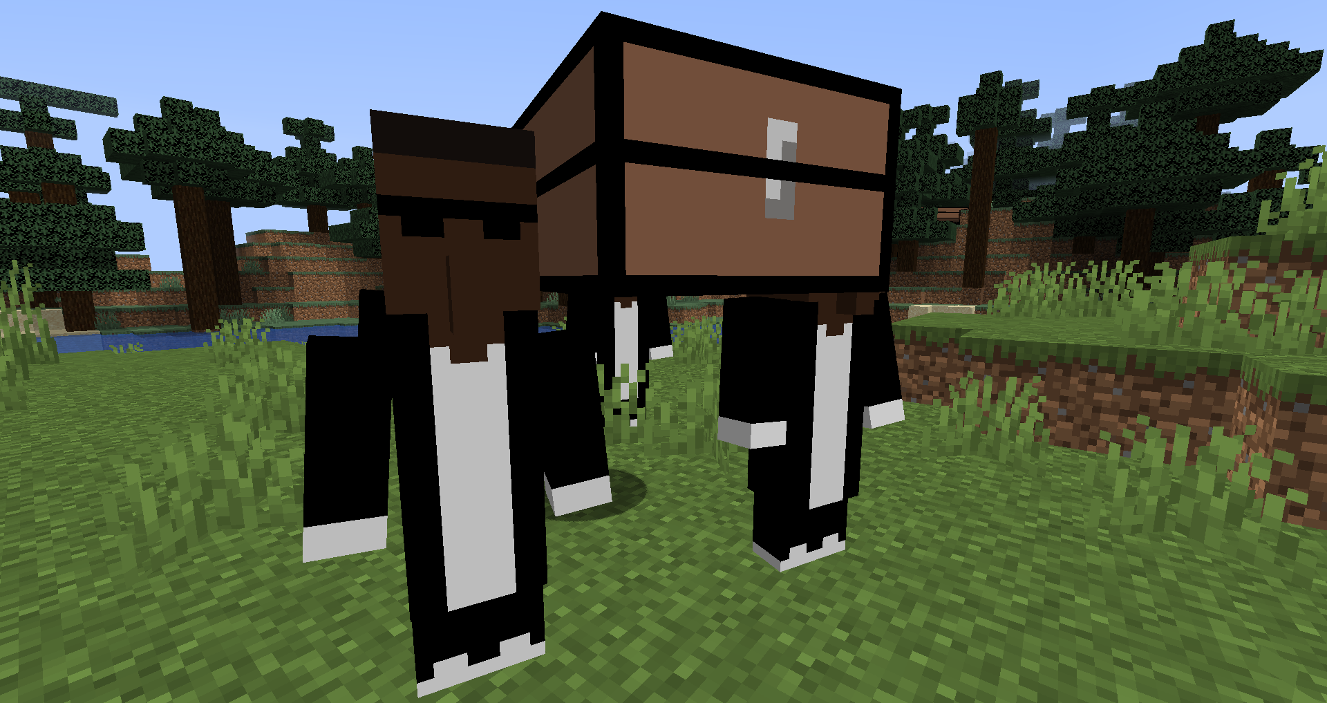 Dancing Pallbearers