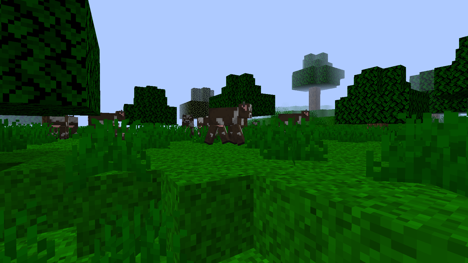 Meadow