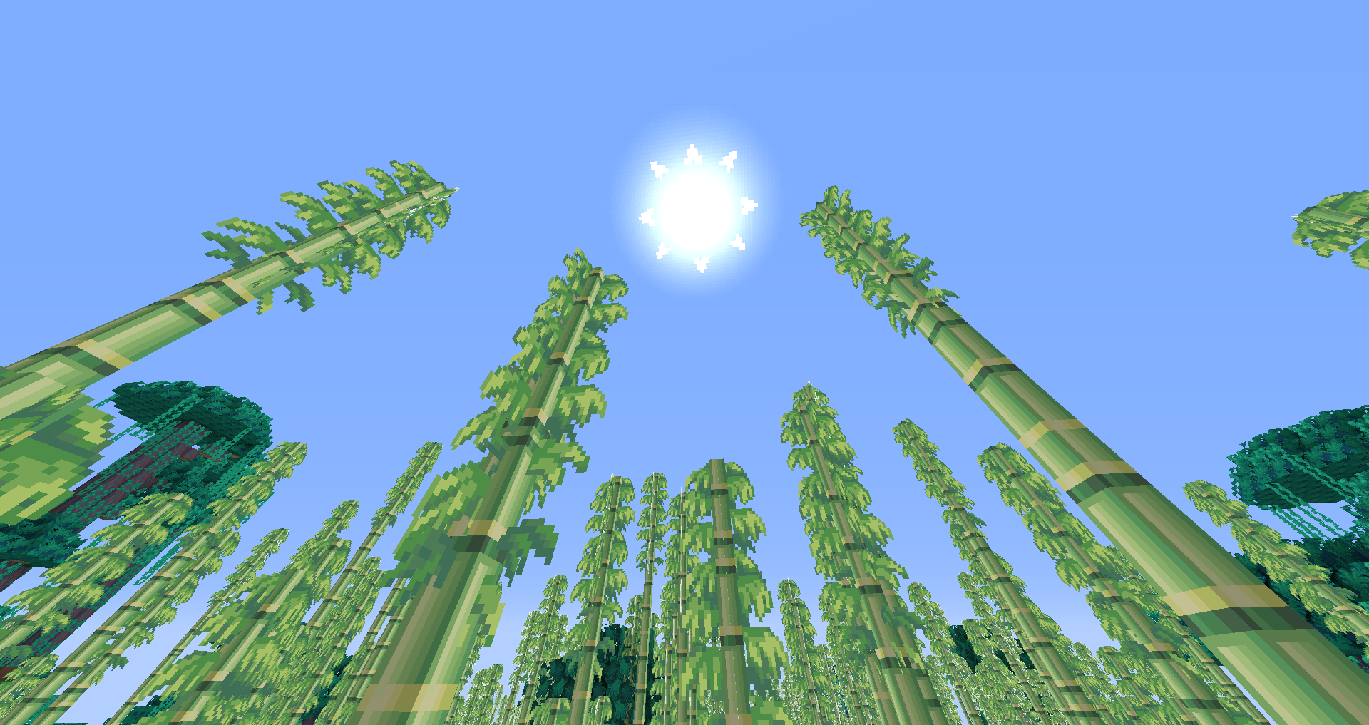 Bamboo Forest