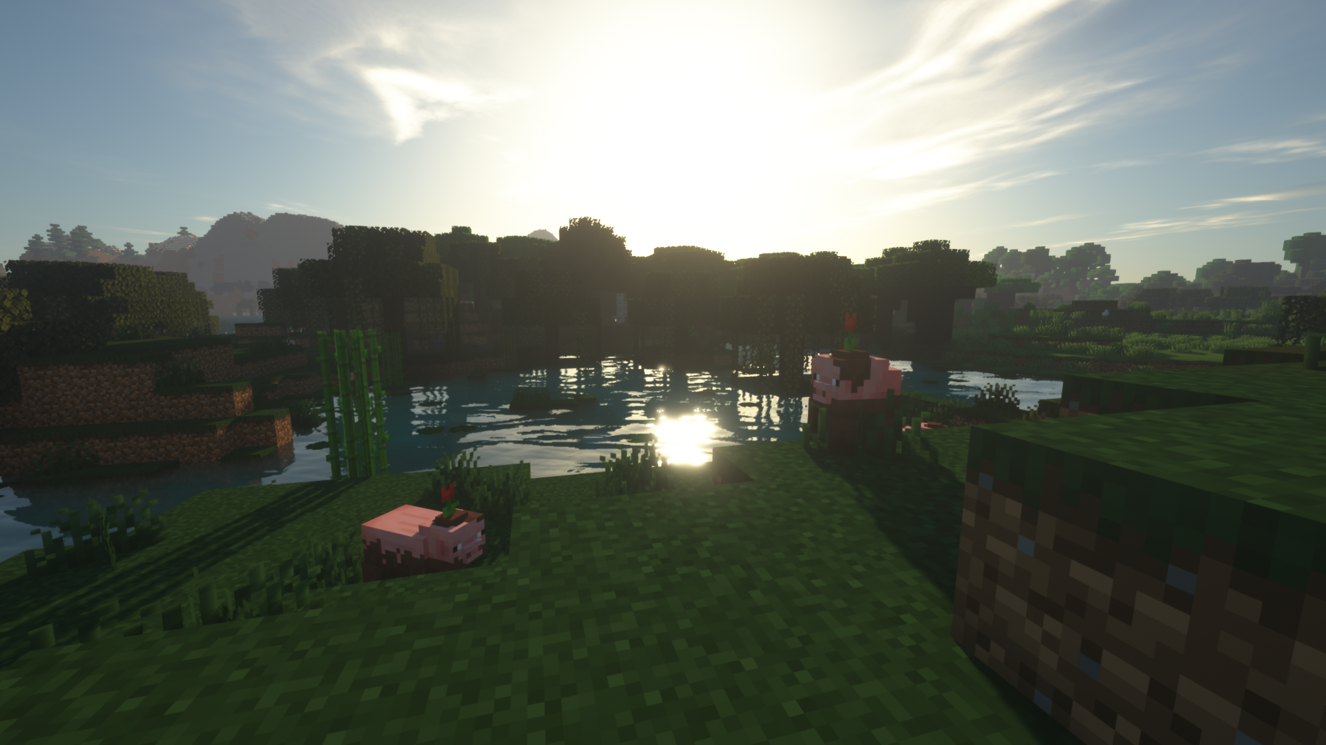 Muddy Pigs w/ Shaders 