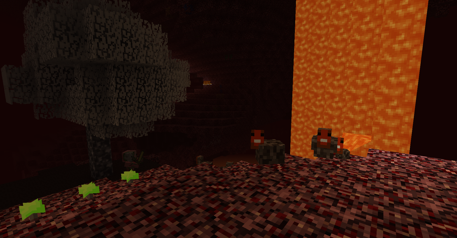 Chickens and the Nether
