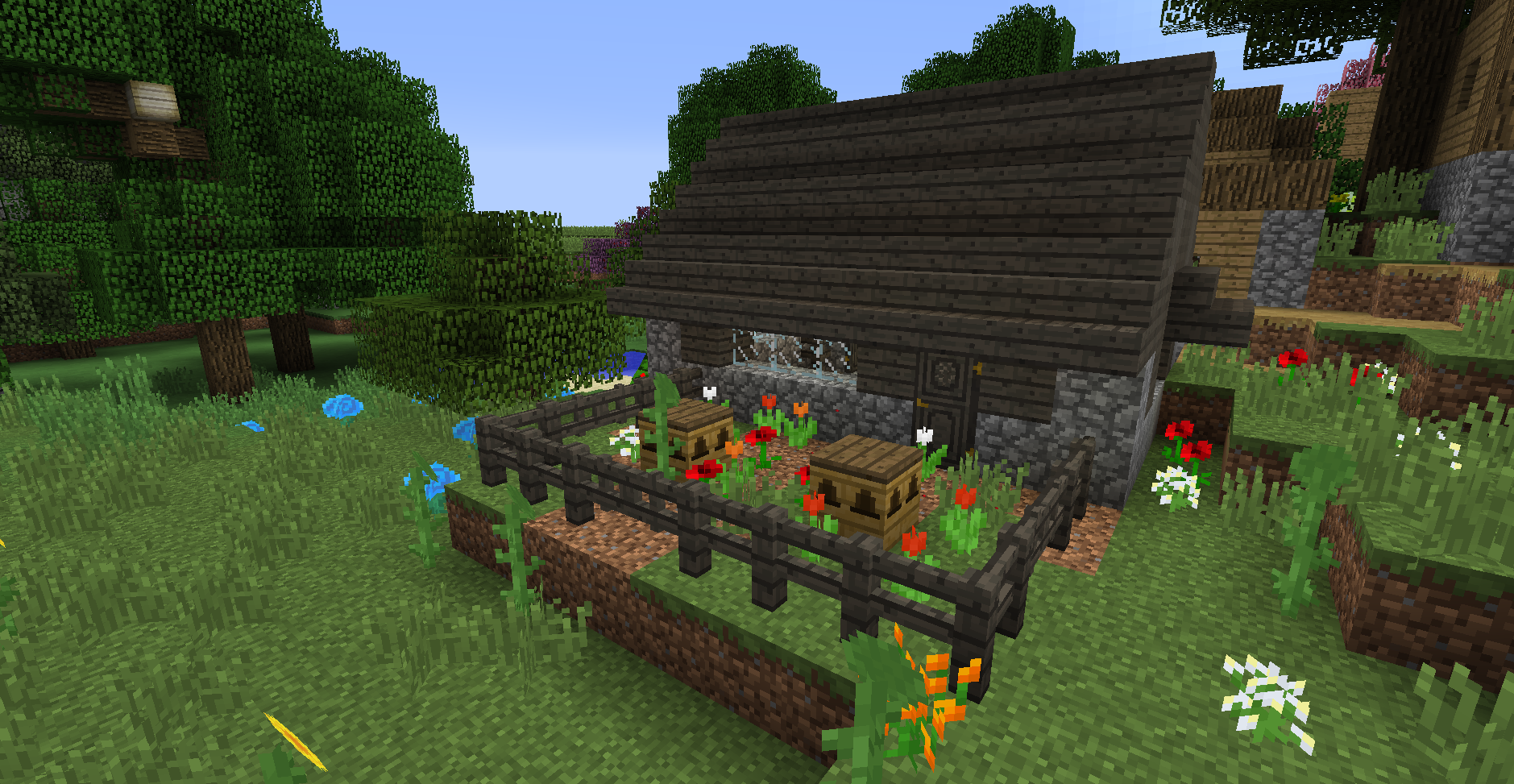 Village