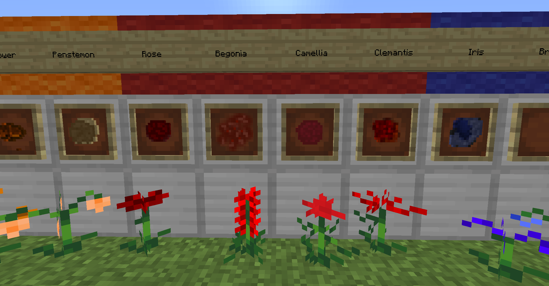 Red Dyes and Flowers