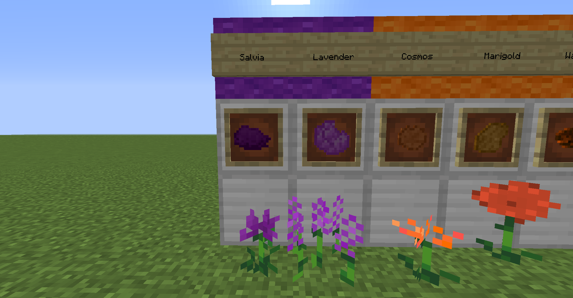 Purple Dyes and Flowers