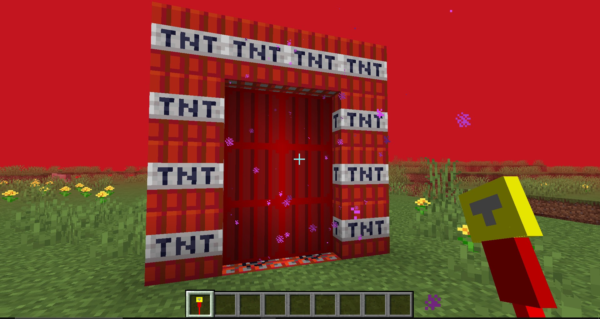 The tnt portal