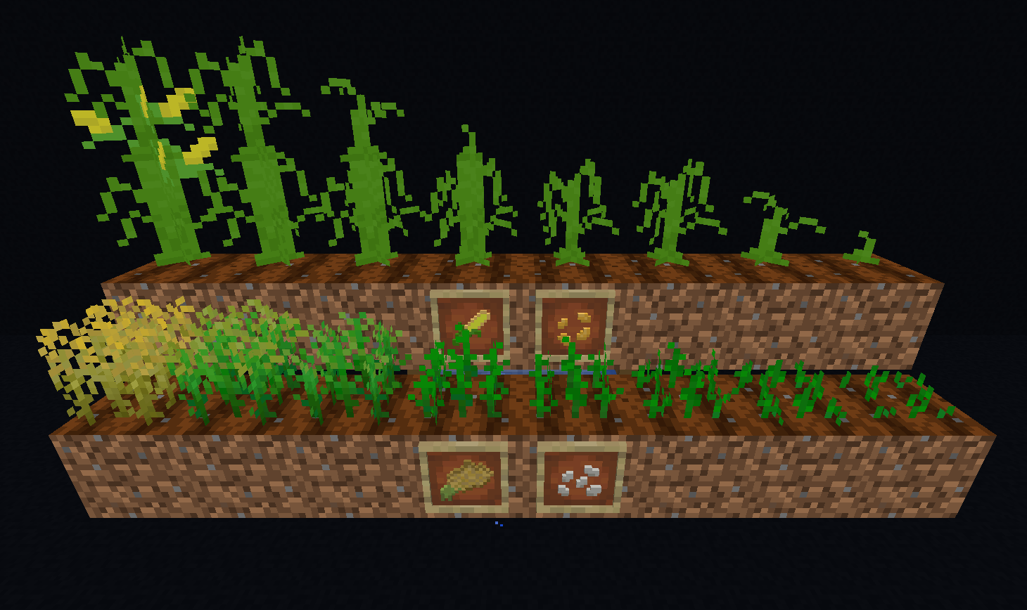 rice & corn