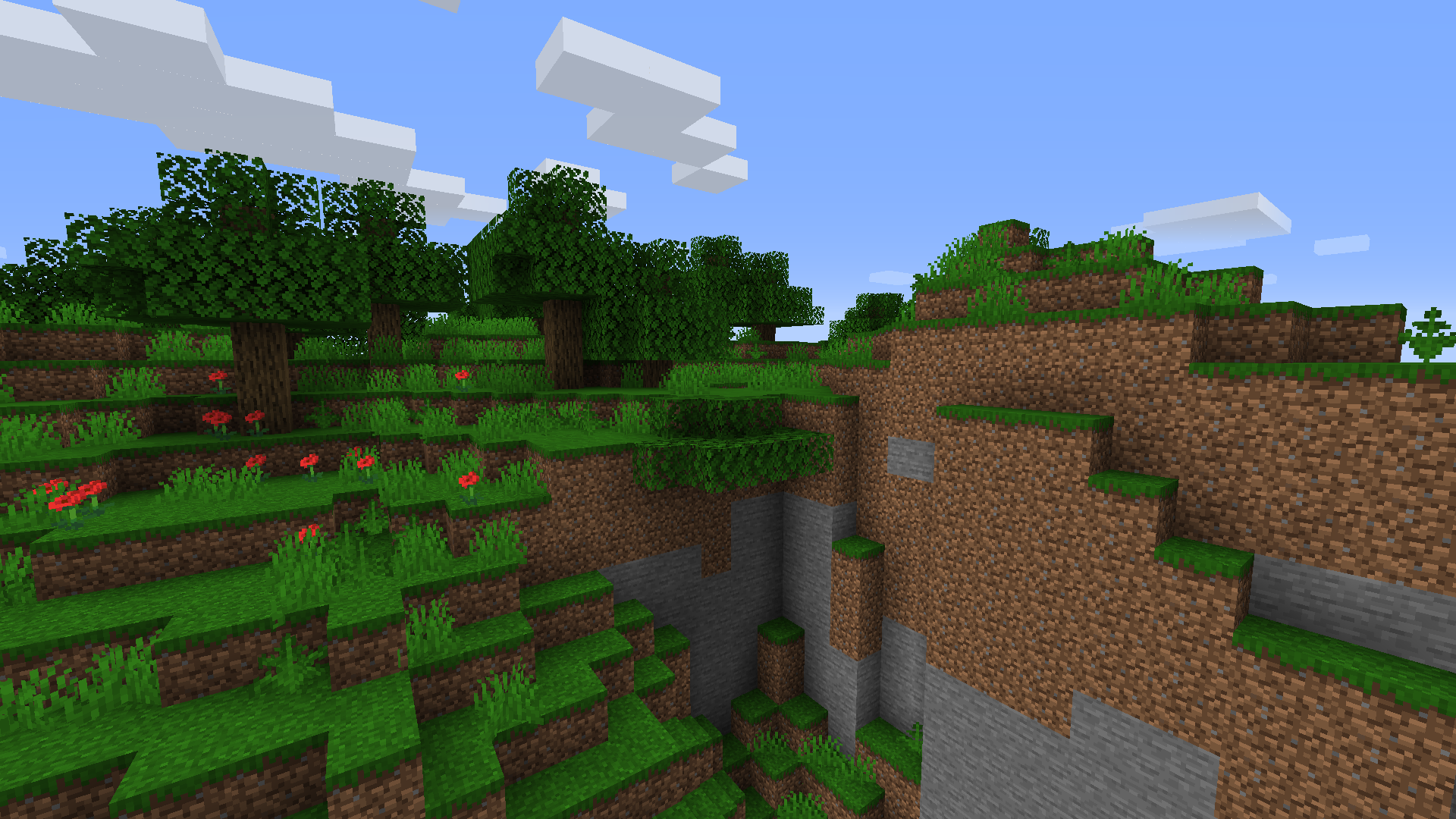 A hilly variant of the rainforest biome.