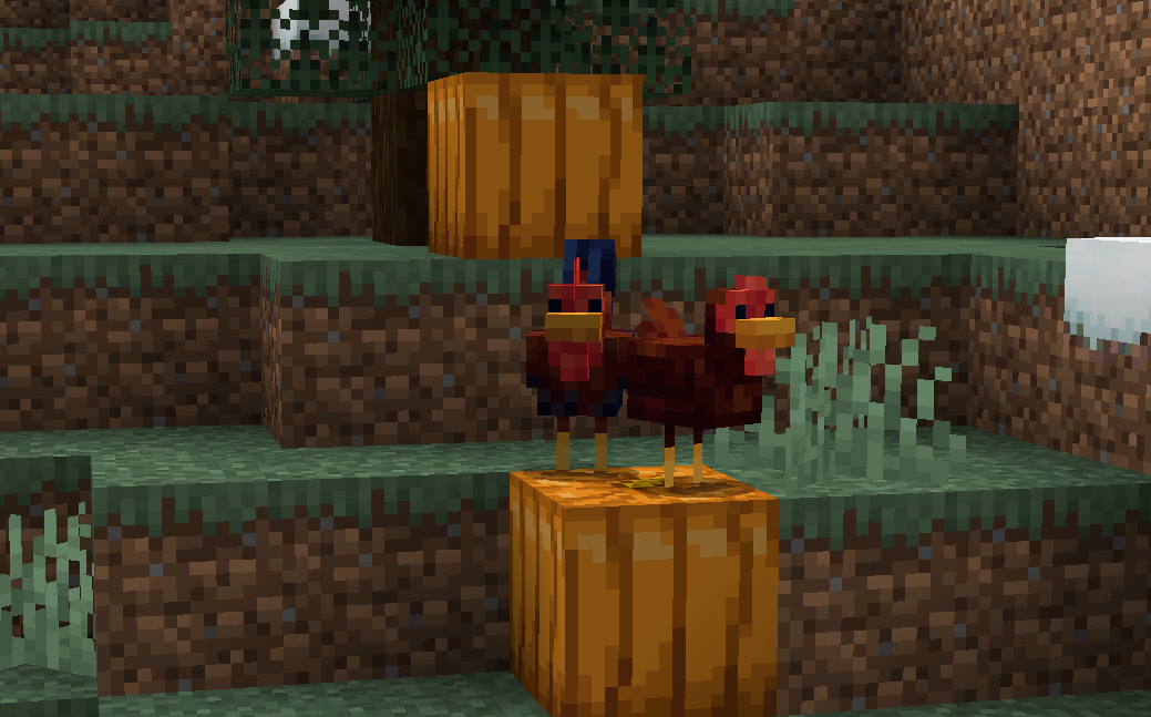 Taiga chicken and rooster