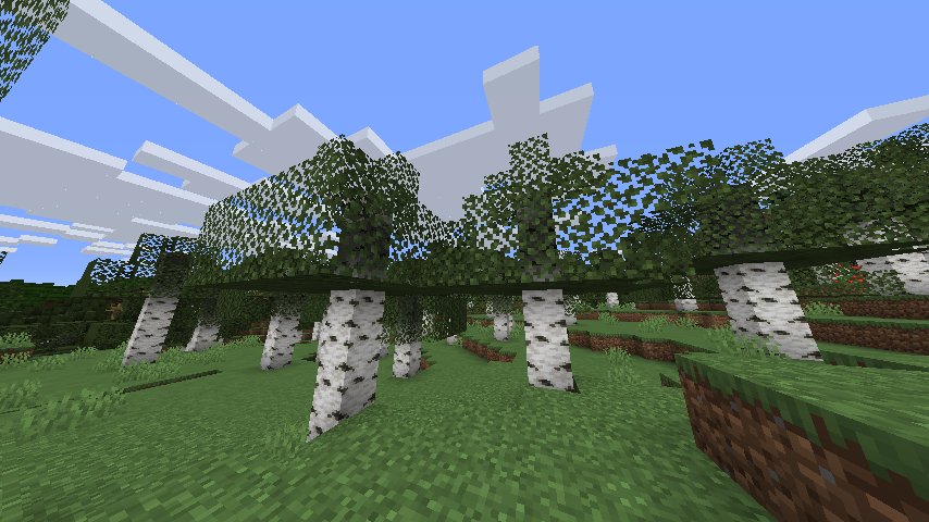 Birch Trees with culling