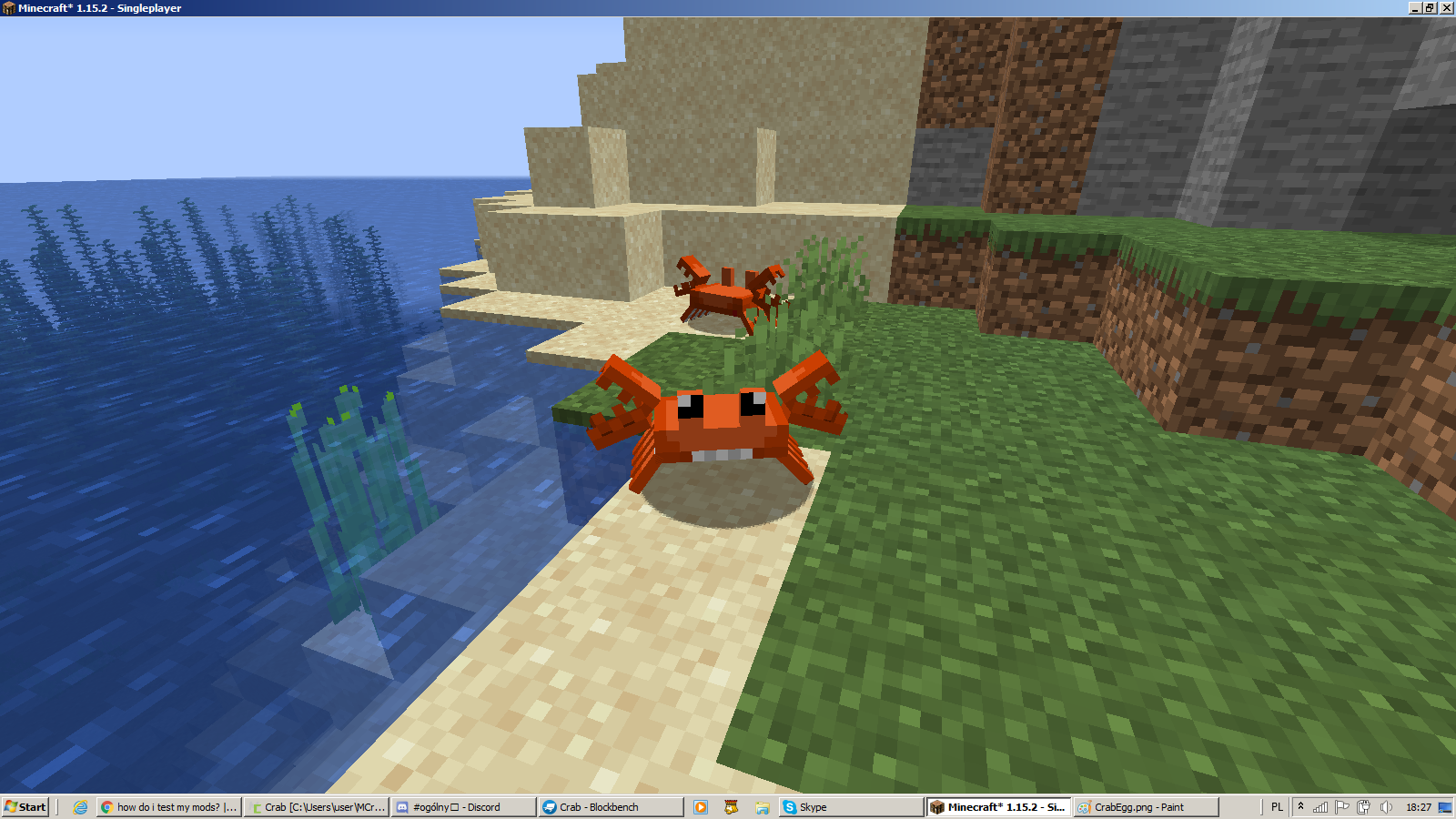 A crab on a beach