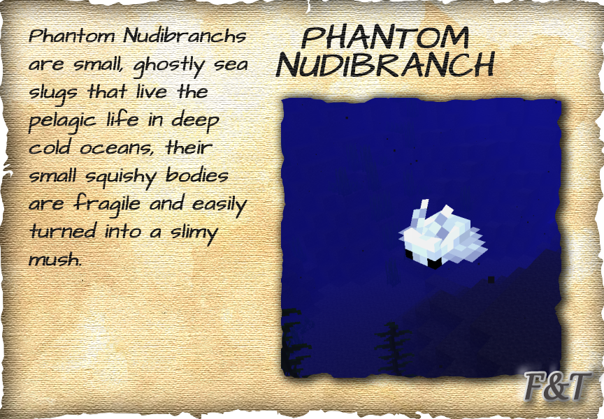 Phantom Nudibranch