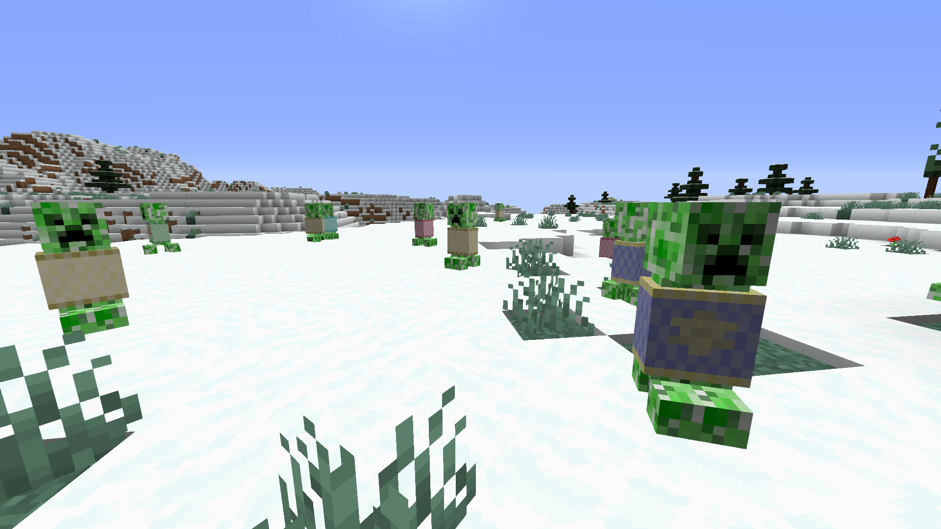 Big ole group of winter creepers