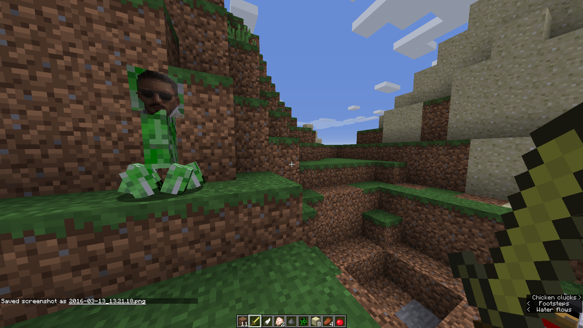 Closer look of a Creeper's face.