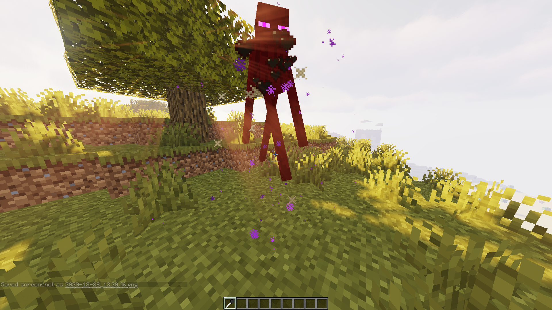 Burgers Minecraft Animation
