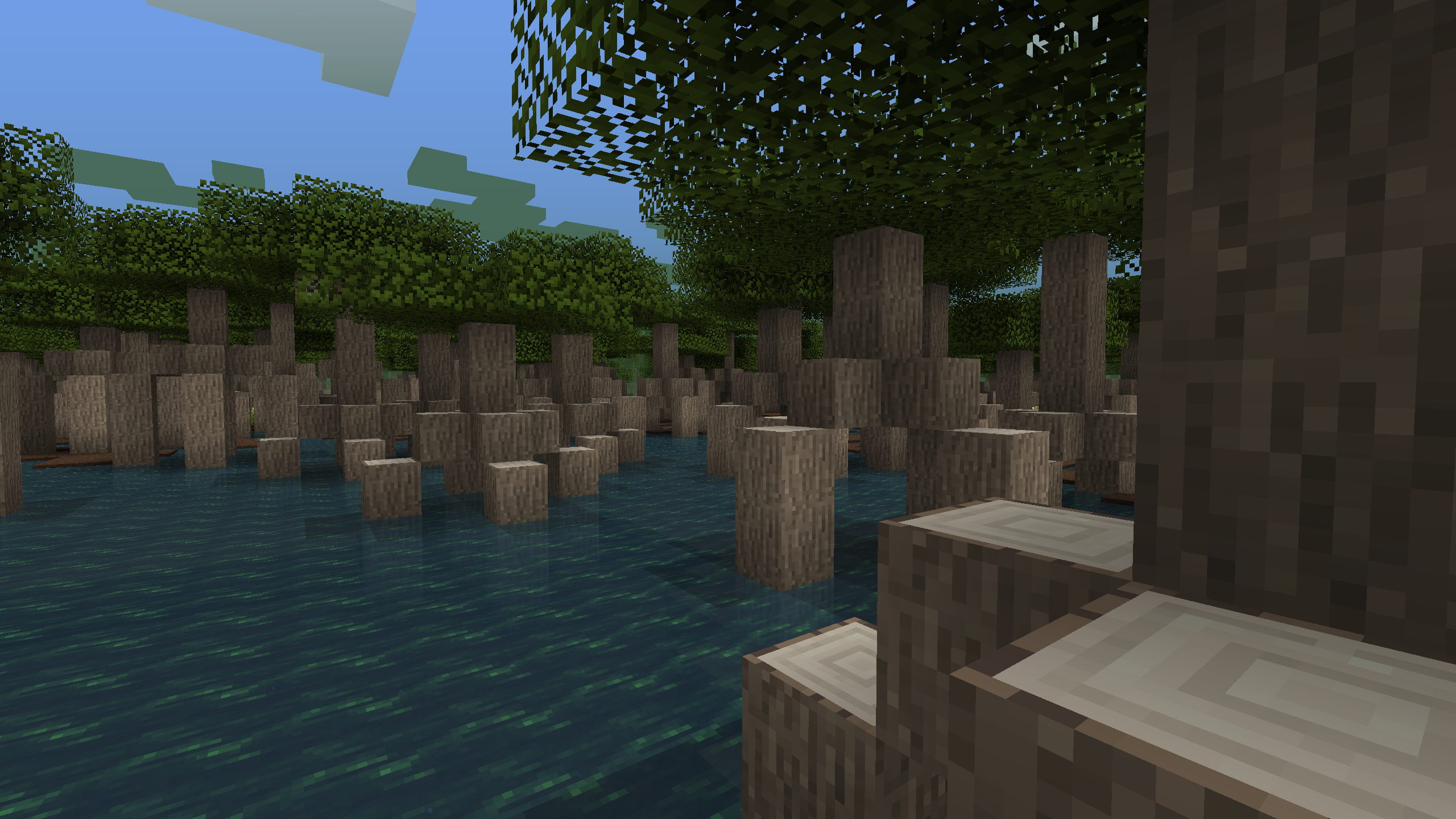 Swamp map generation.