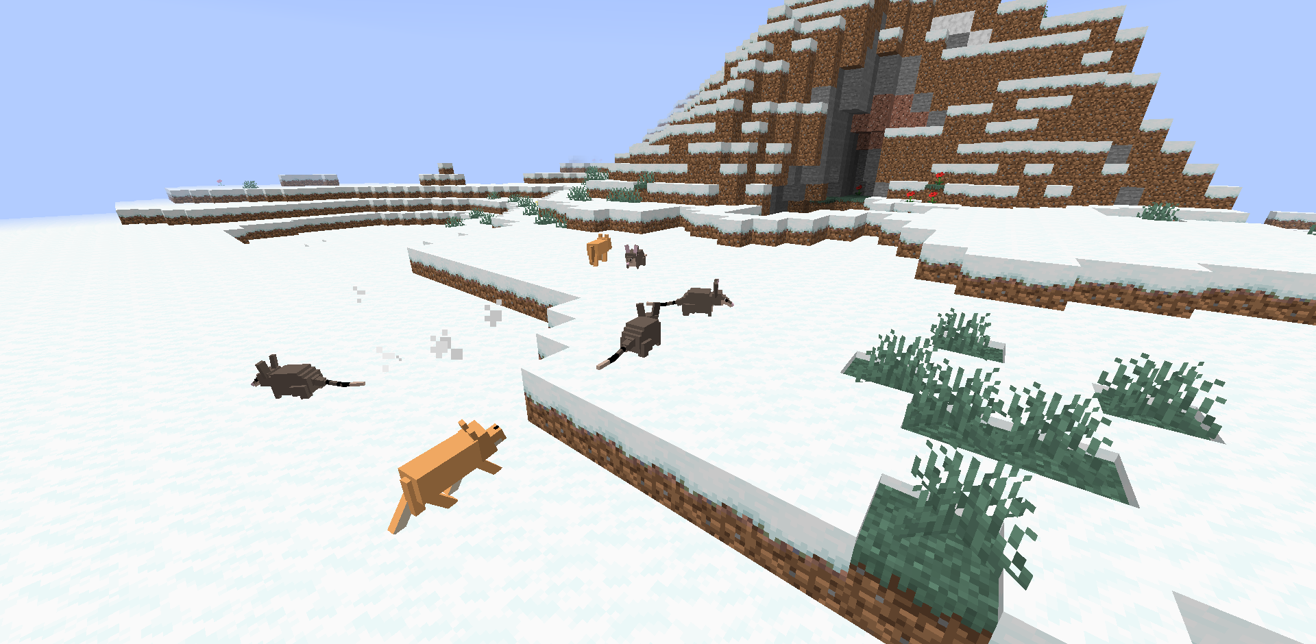 Australian animals in the snow