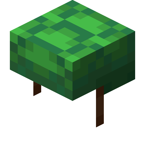 Turtle Shells are obtainable using 5 Turtle Scutes.