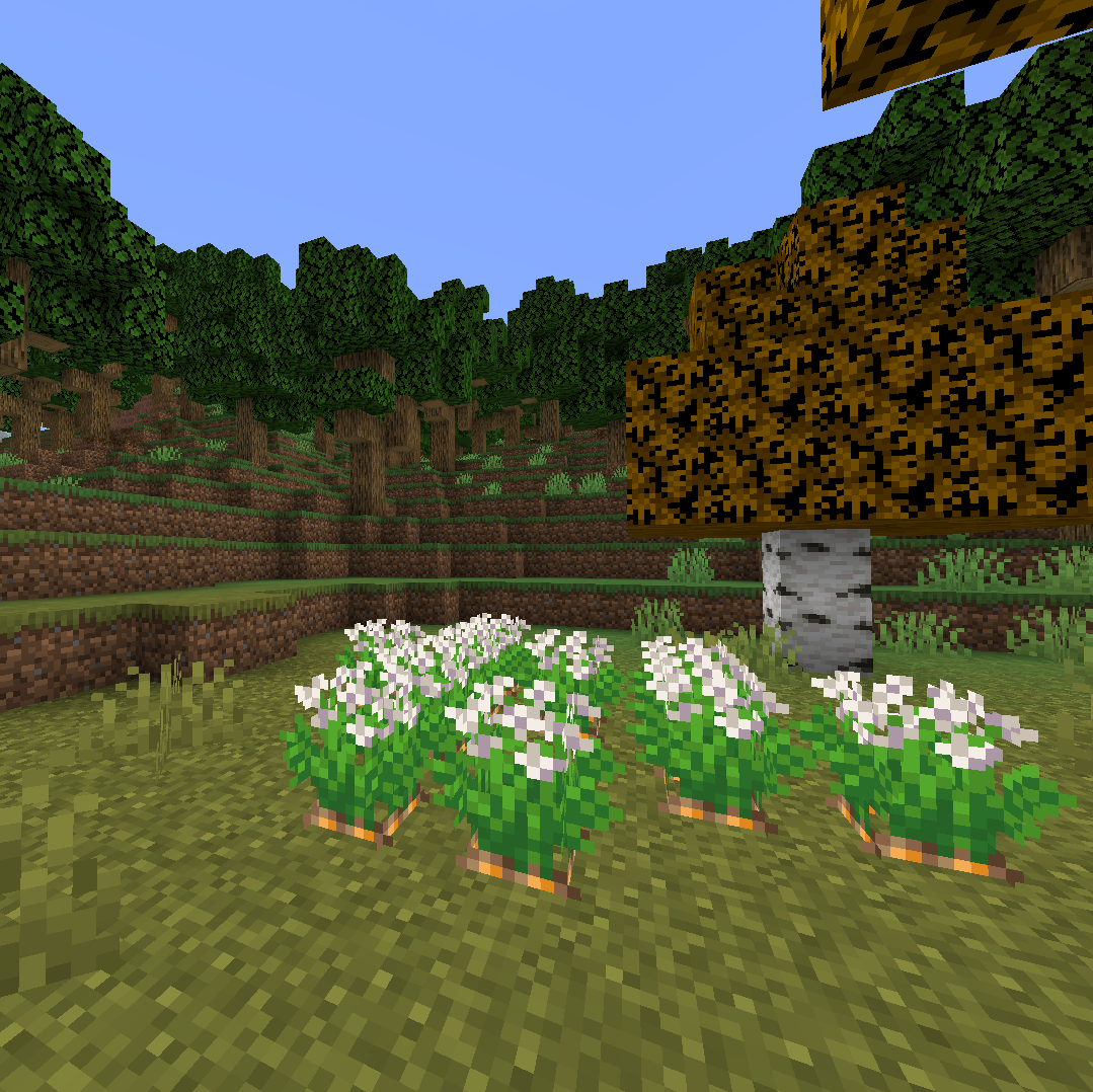 Wild Carrots from the Farmers Delight mod!