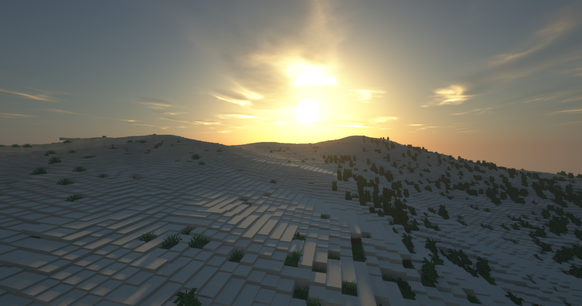 Snowy Biome 