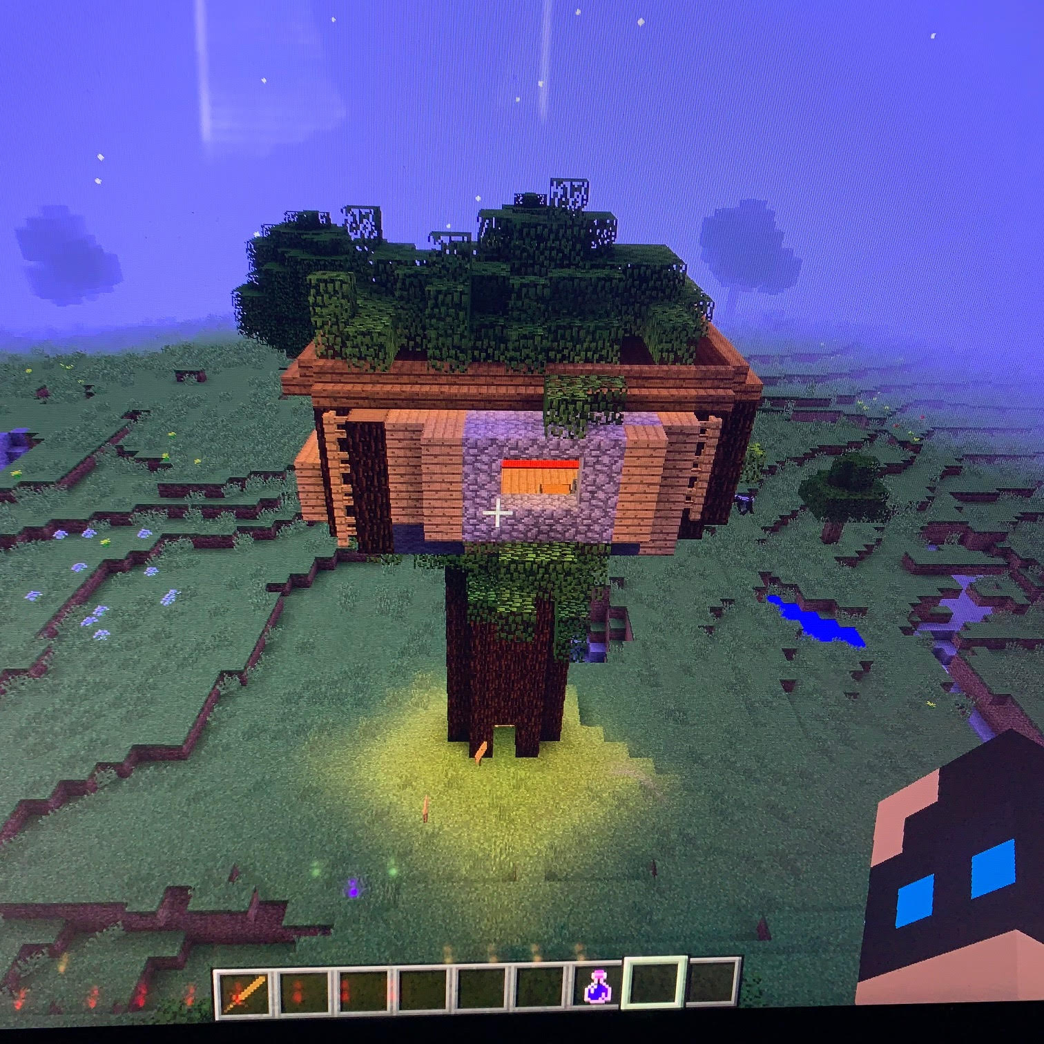 Jesse'sTreehouse