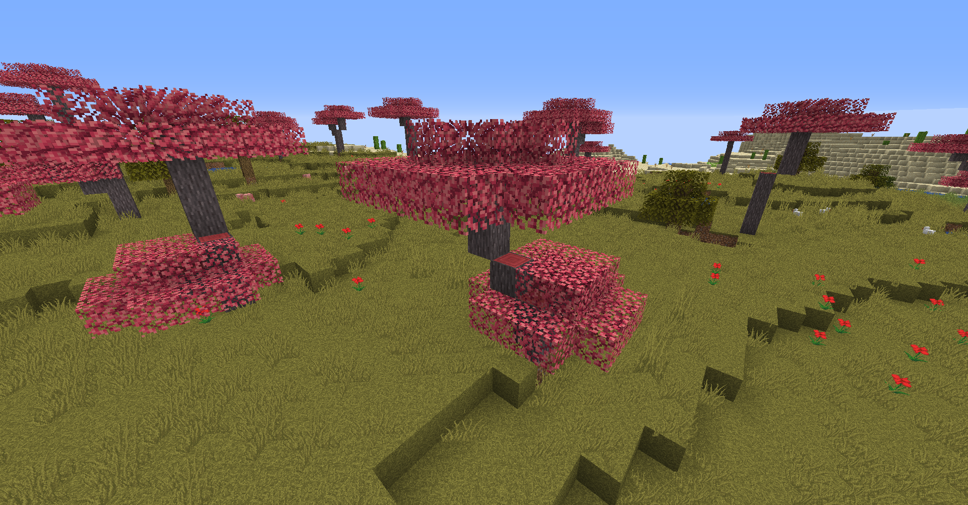 The new acacia Trees (1.0.0)