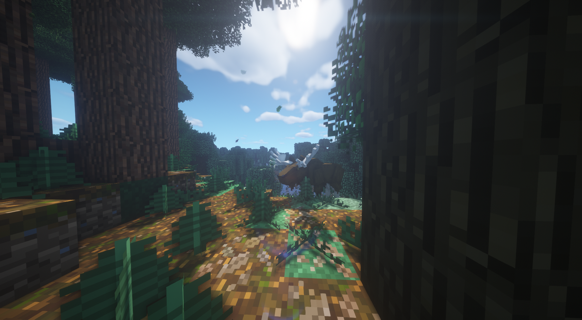 Up in the forest where wild life springs out