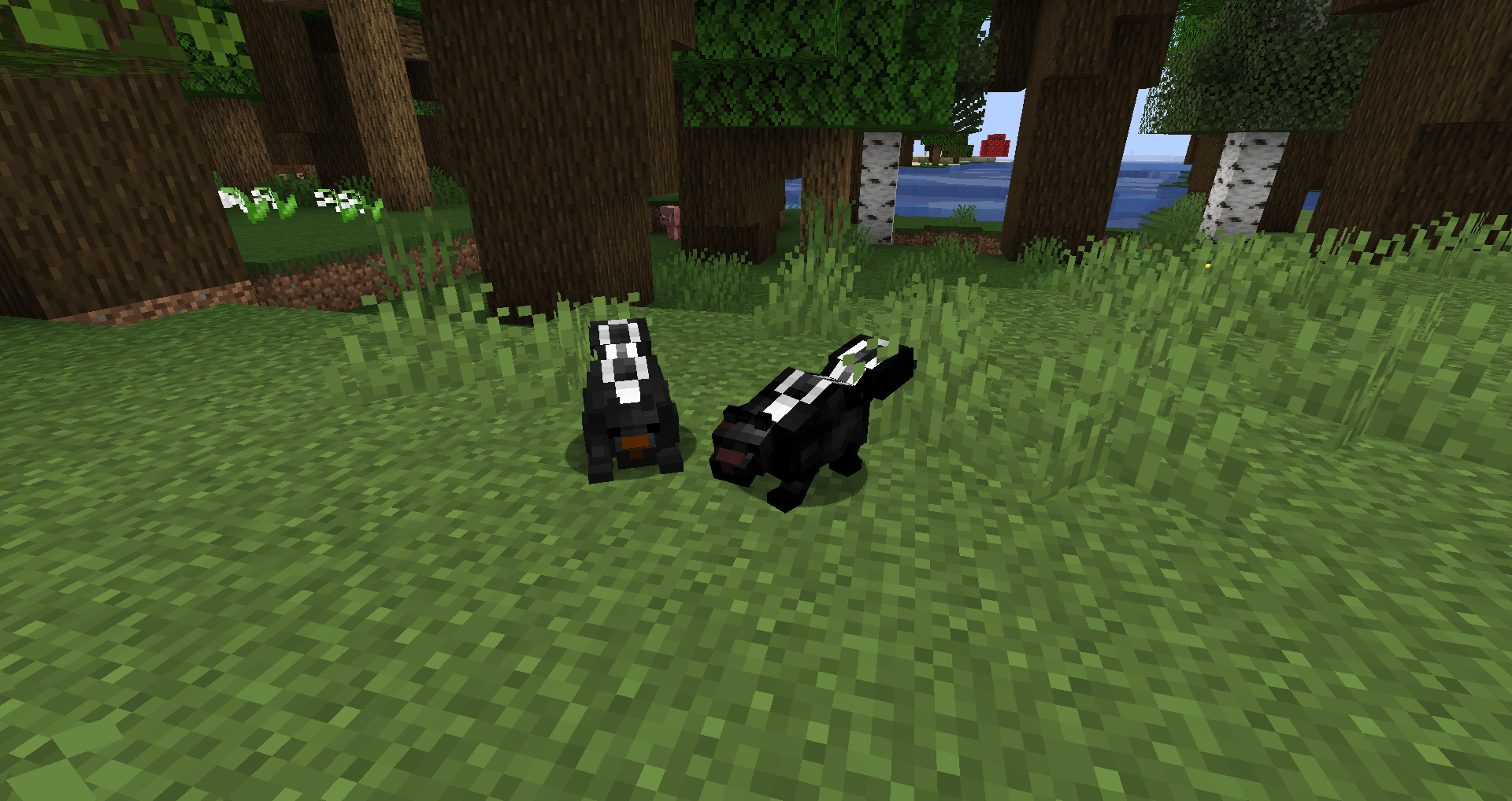 Skunks