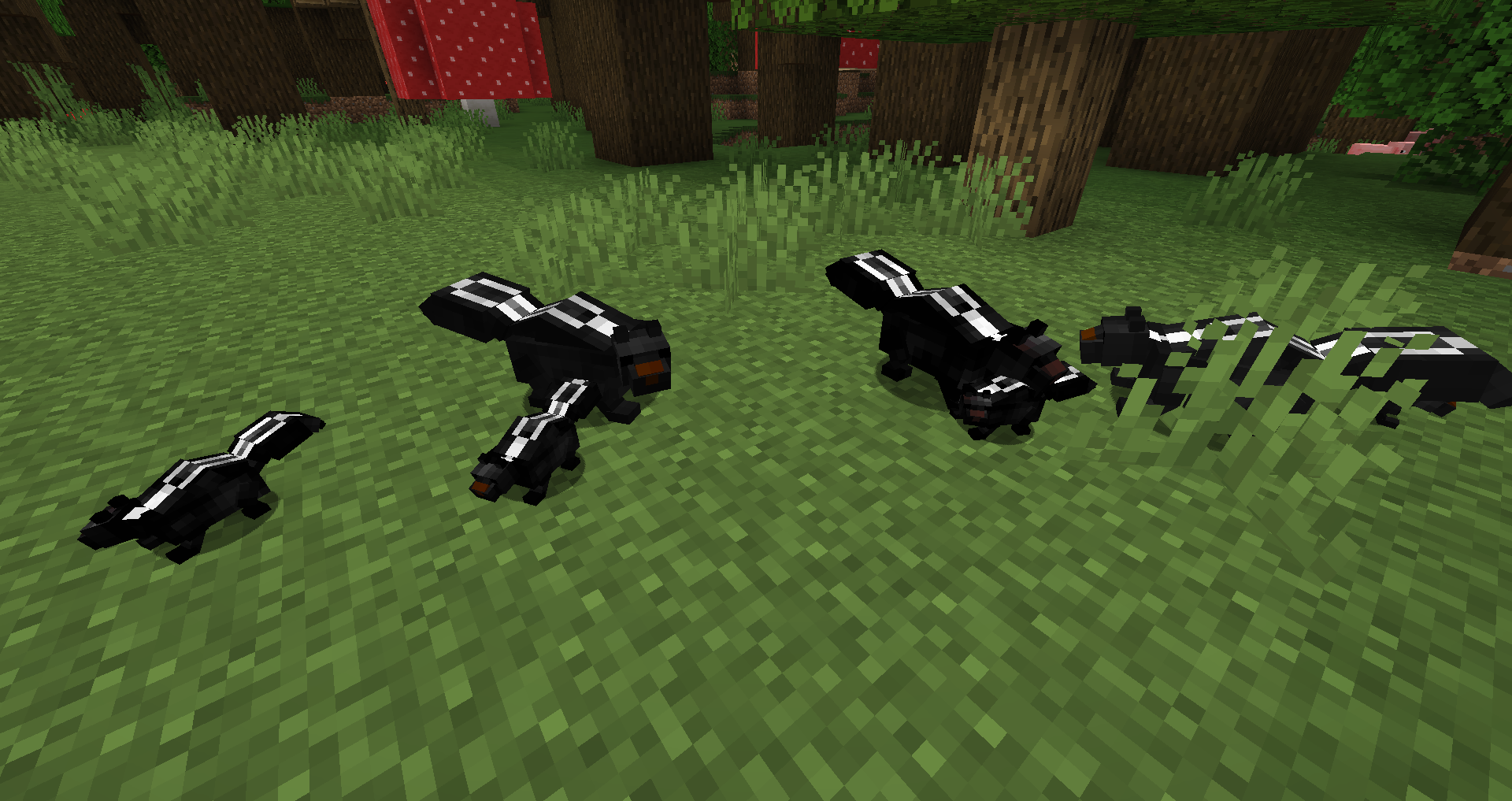 Skunk Family