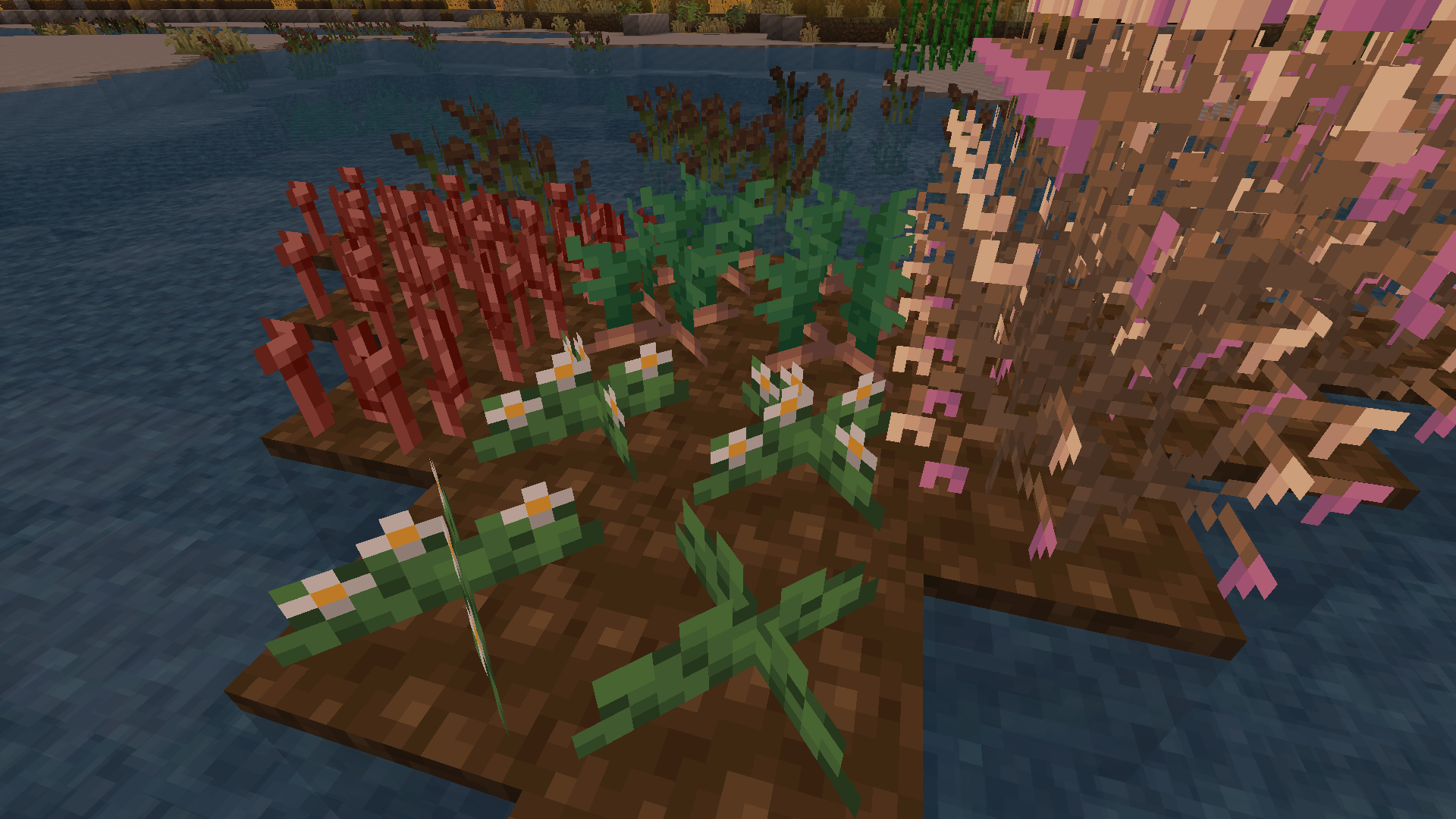 Growing Crops