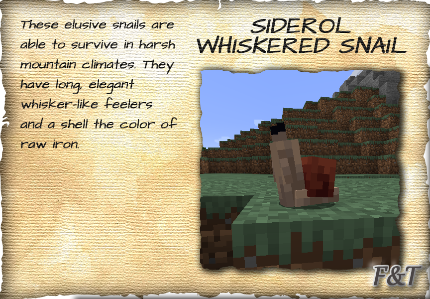 Siderol Whiskered Snail