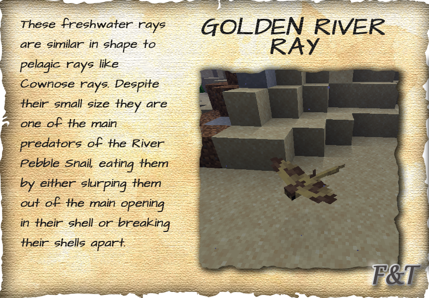 Golden River Ray