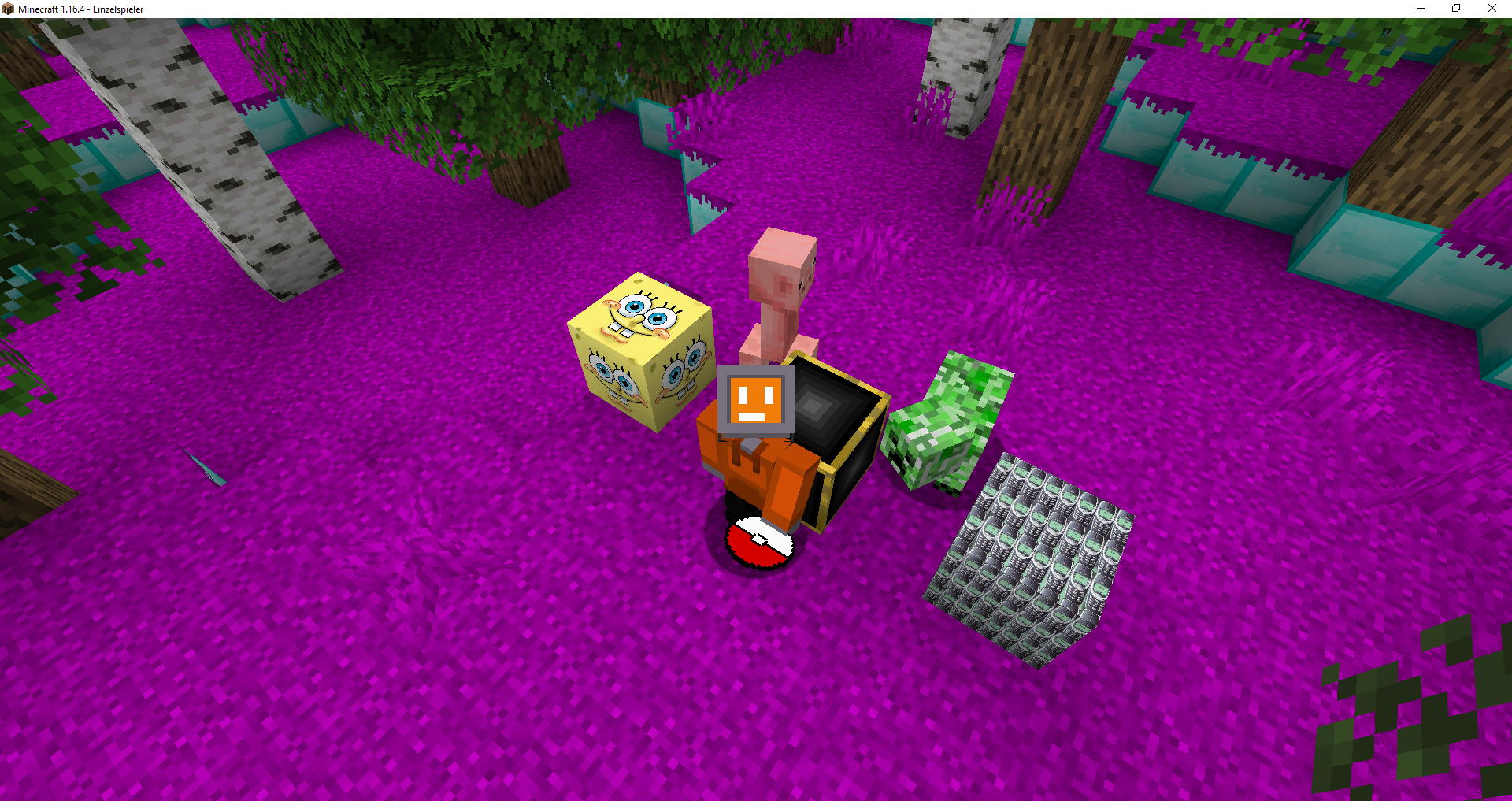 TikTokCraft Overworld